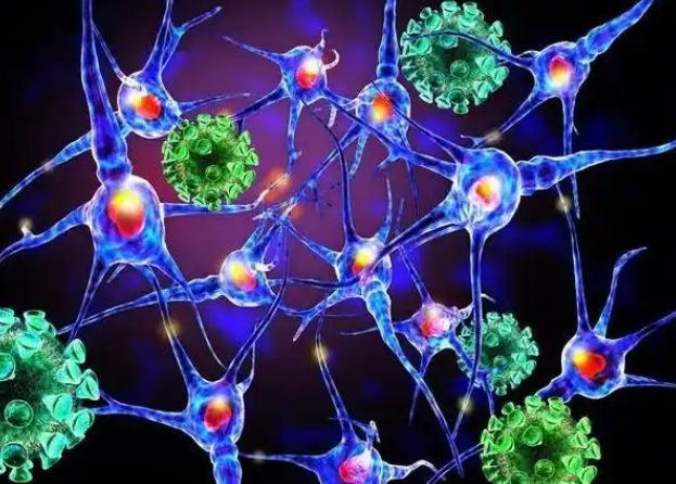 文献解读|Nature（50.5）：空间蛋白质组学发现 JAKi 可治疗致命皮肤