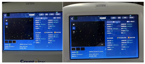 项目案例+1|开泰单细胞测序助力客户登顶《Nature Communicatio