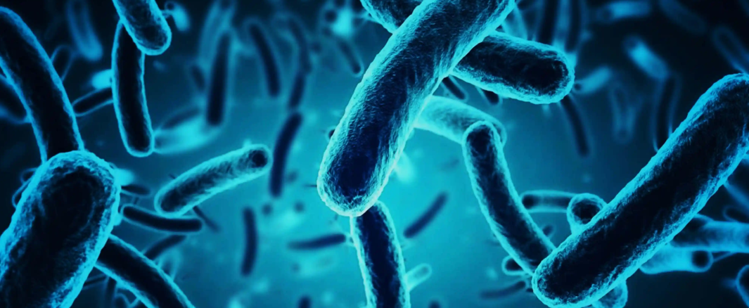 文献解读|Nat Commun（15.7）：SCFA 生物疗法通过重塑粘膜稳态和