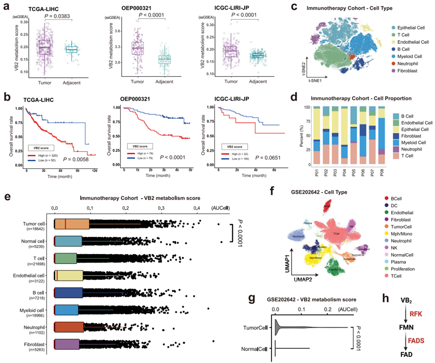 亚洲熟妇无码乱子AV电影