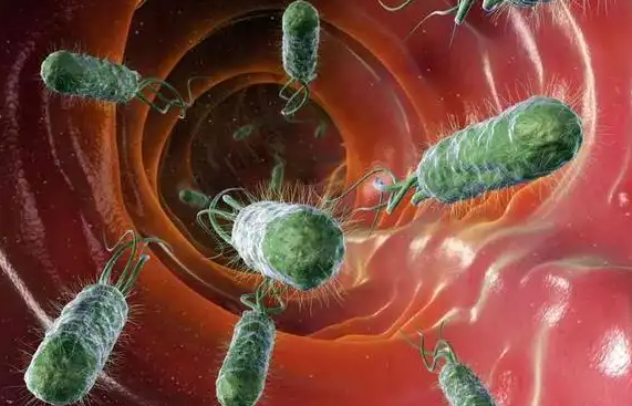 亚洲熟妇无码乱子AV电影