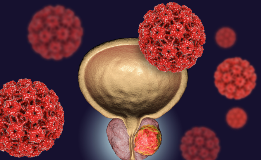 亚洲熟妇无码乱子AV电影