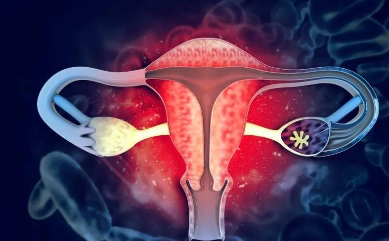 亚洲熟妇无码乱子AV电影