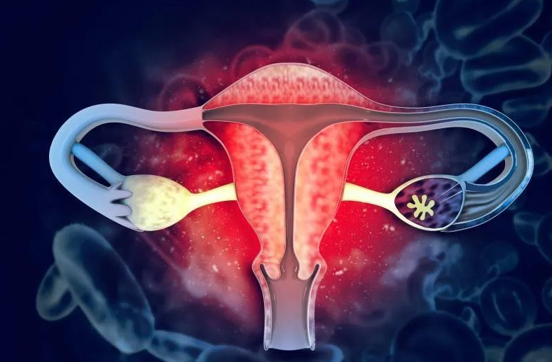 亚洲熟妇无码乱子AV电影