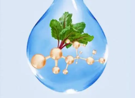 亚洲熟妇无码乱子AV电影