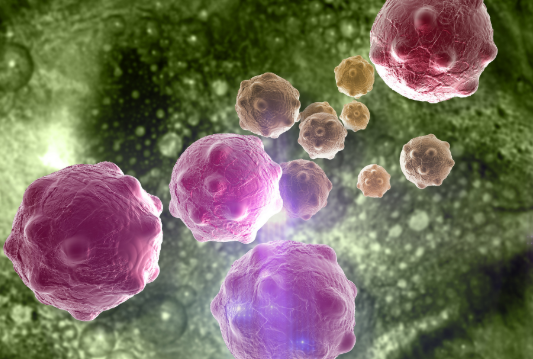 亚洲熟妇无码乱子AV电影