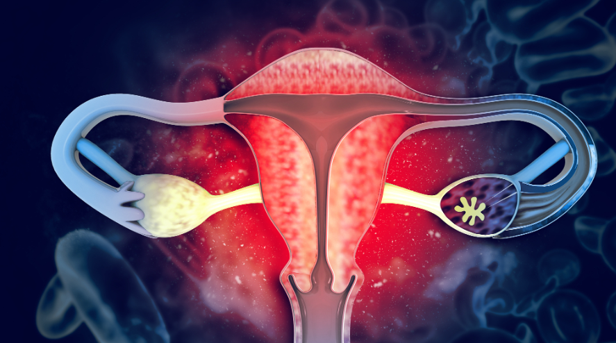 亚洲熟妇无码乱子AV电影