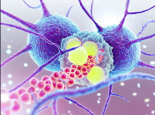 亚洲熟妇无码乱子AV电影