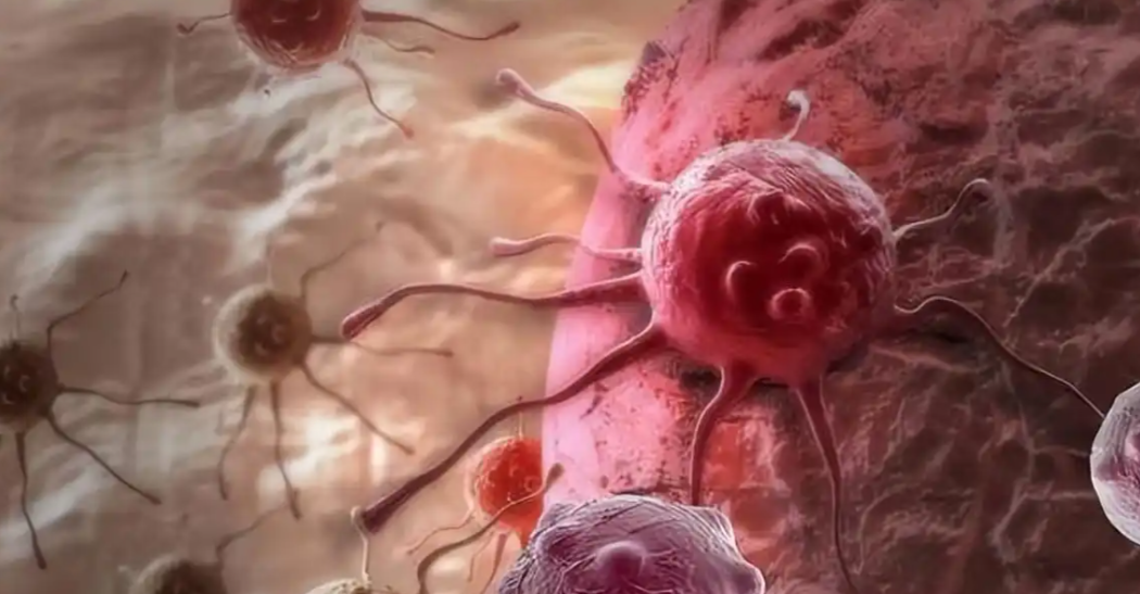 亚洲熟妇无码乱子AV电影