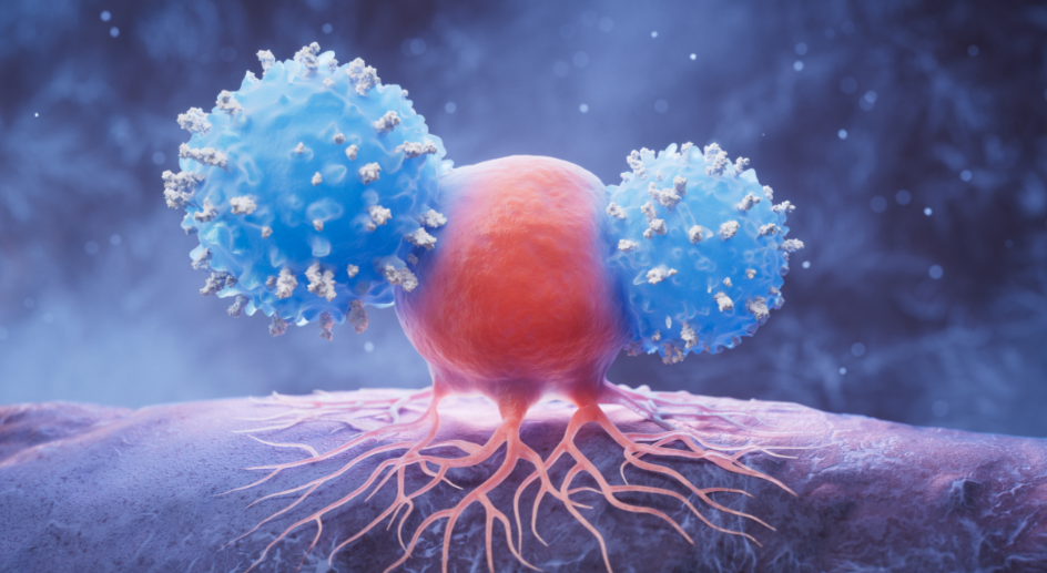 亚洲熟妇无码乱子AV电影