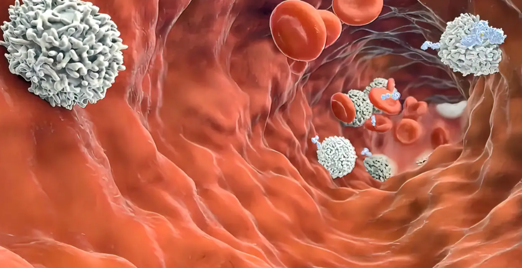 亚洲熟妇无码乱子AV电影