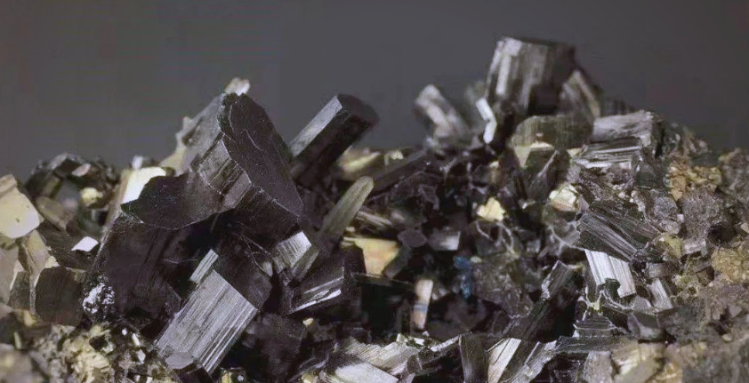 文献解读|J Adv Res（13）：基于多组学技术研究慢性砷暴露引起的鸡肝-菌