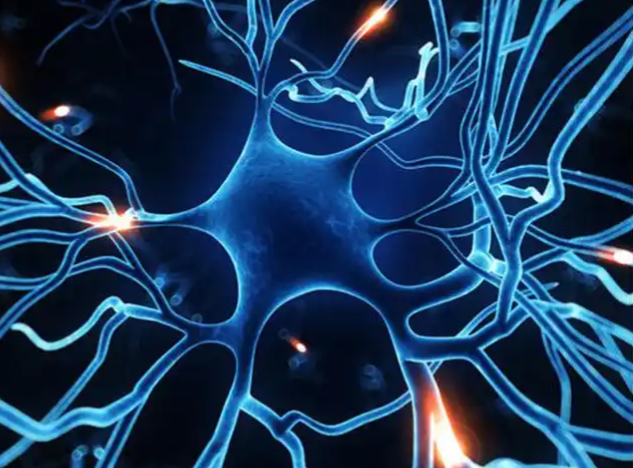 亚洲熟妇无码乱子AV电影