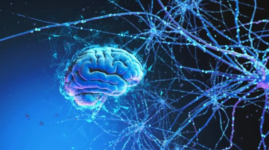 亚洲熟妇无码乱子AV电影