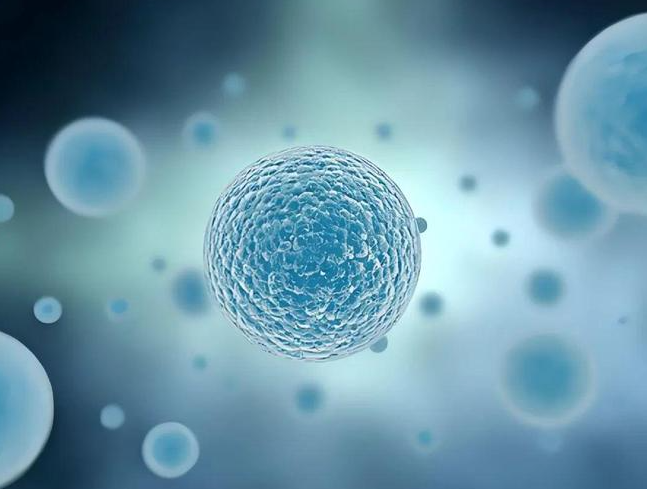 亚洲熟妇无码乱子AV电影