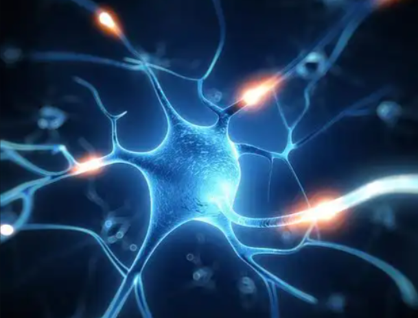 文献解读|Nat Genet（29）：单细胞核染色质可及性分析可识别导致重度抑郁