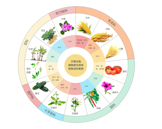 亚洲熟妇无码乱子AV电影