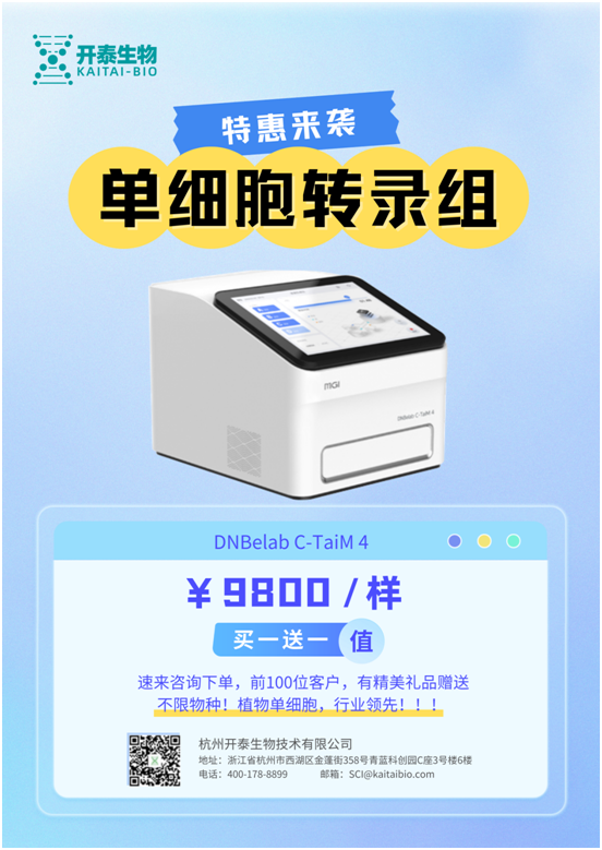 亚洲熟妇无码乱子AV电影