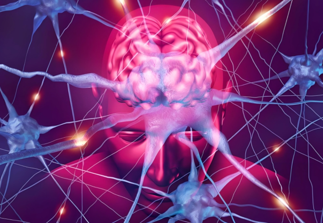 亚洲熟妇无码乱子AV电影