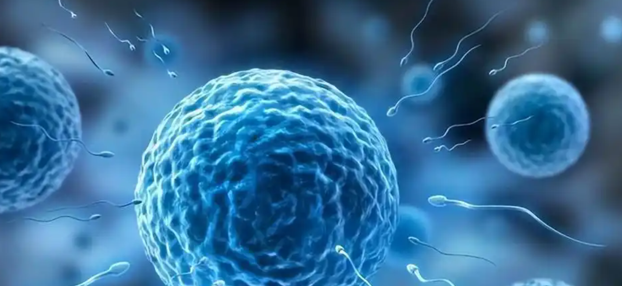 亚洲熟妇无码乱子AV电影