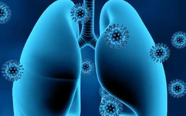 亚洲熟妇无码乱子AV电影