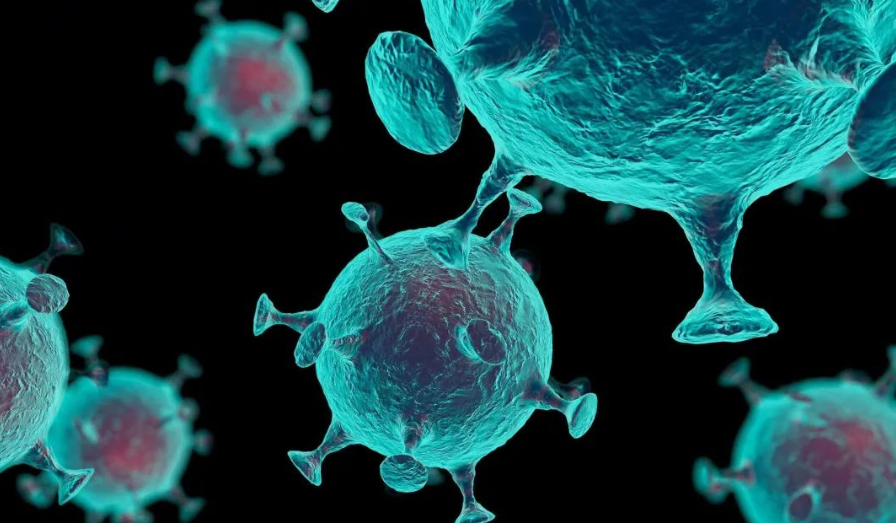 亚洲熟妇无码乱子AV电影