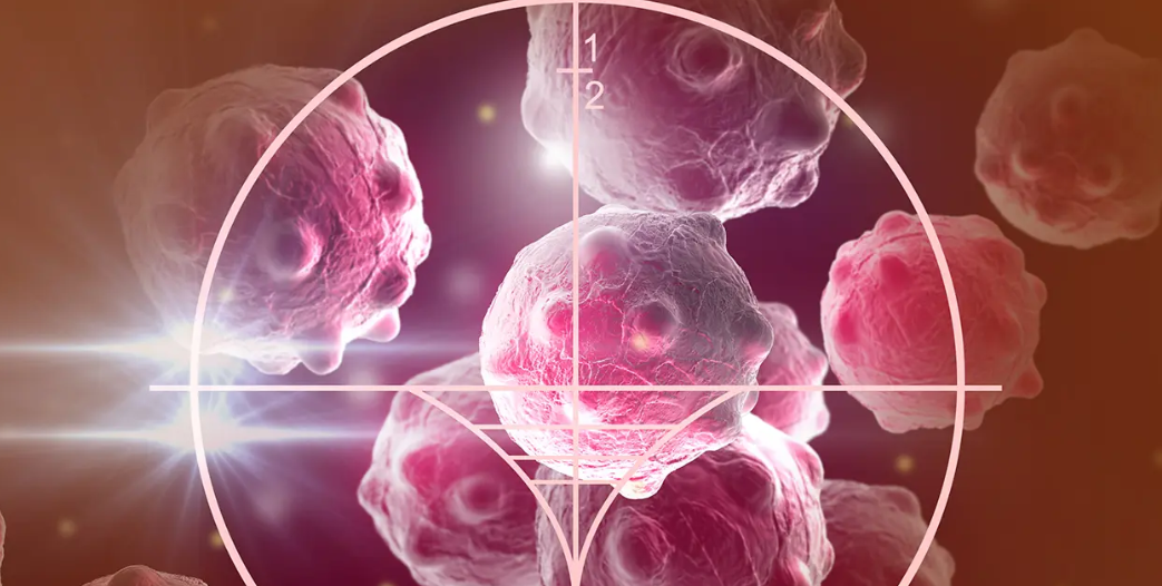 亚洲熟妇无码乱子AV电影