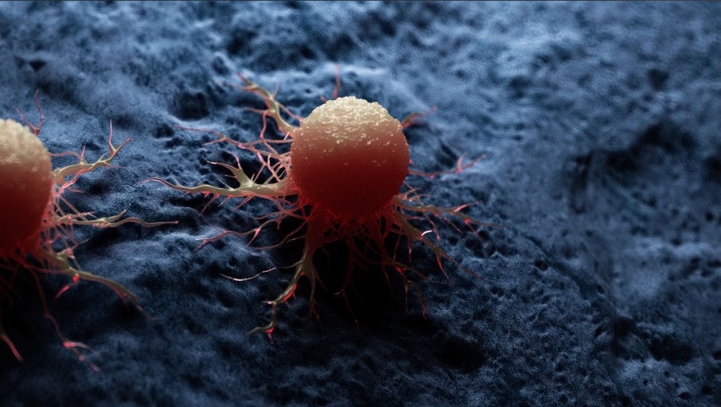 亚洲熟妇无码乱子AV电影