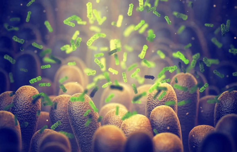 亚洲熟妇无码乱子AV电影