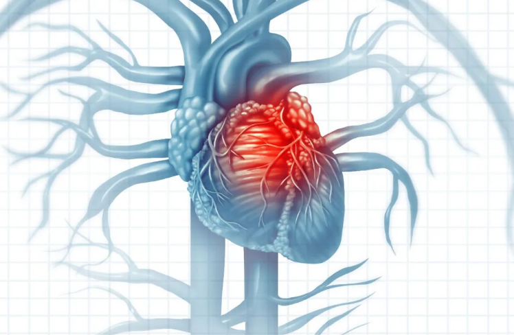 亚洲熟妇无码乱子AV电影