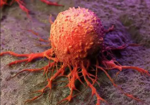 亚洲熟妇无码乱子AV电影