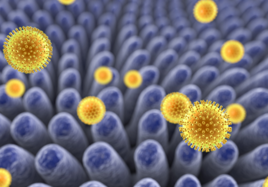 亚洲熟妇无码乱子AV电影