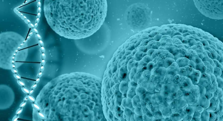 亚洲熟妇无码乱子AV电影