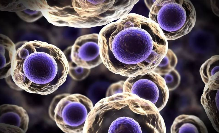 亚洲熟妇无码乱子AV电影