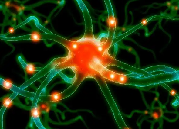 亚洲熟妇无码乱子AV电影