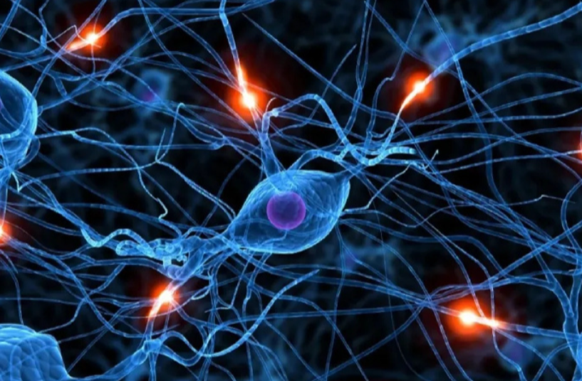 亚洲熟妇无码乱子AV电影