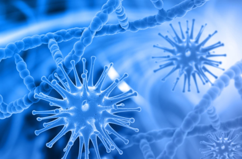 亚洲熟妇无码乱子AV电影