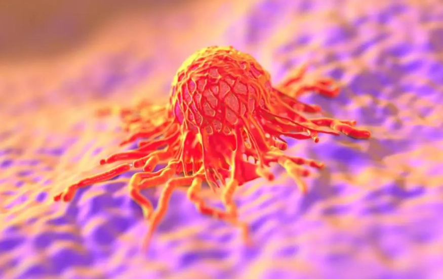 亚洲熟妇无码乱子AV电影