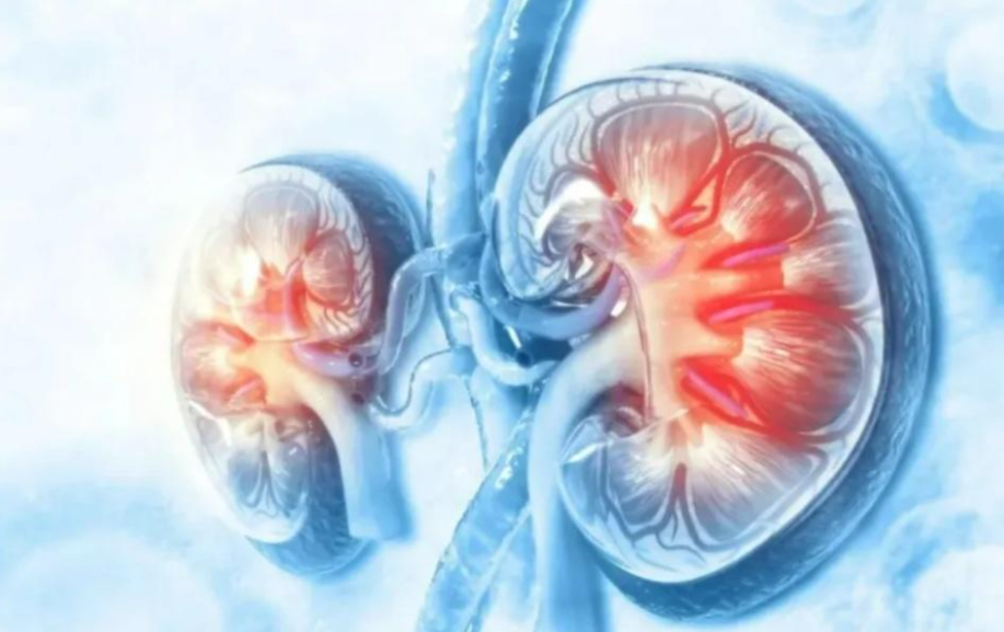 亚洲熟妇无码乱子AV电影