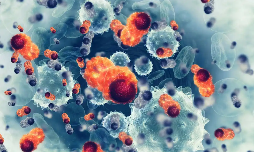 亚洲熟妇无码乱子AV电影