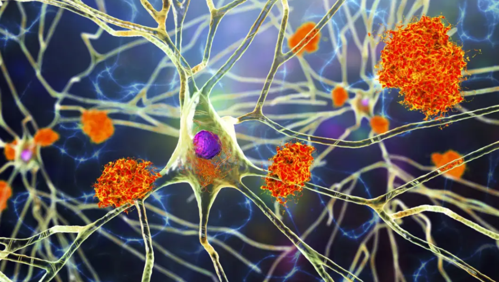 亚洲熟妇无码乱子AV电影