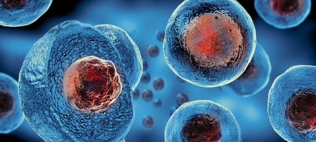 亚洲熟妇无码乱子AV电影