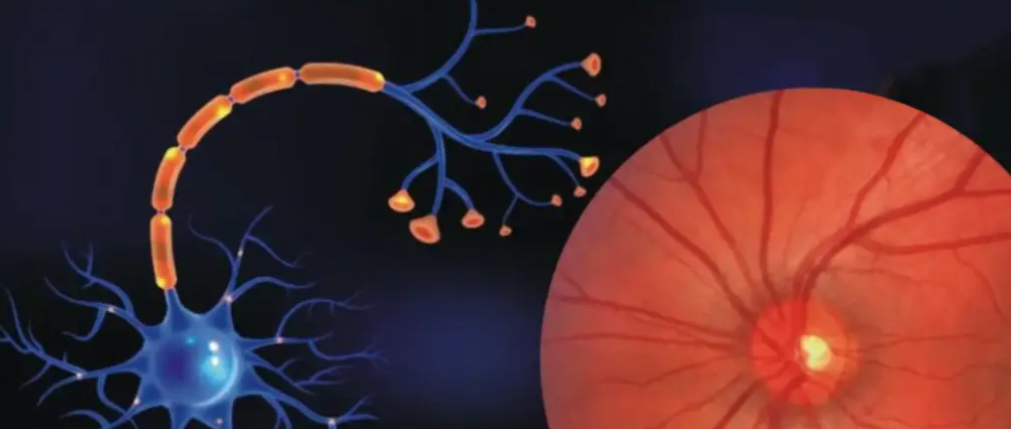 亚洲熟妇无码乱子AV电影