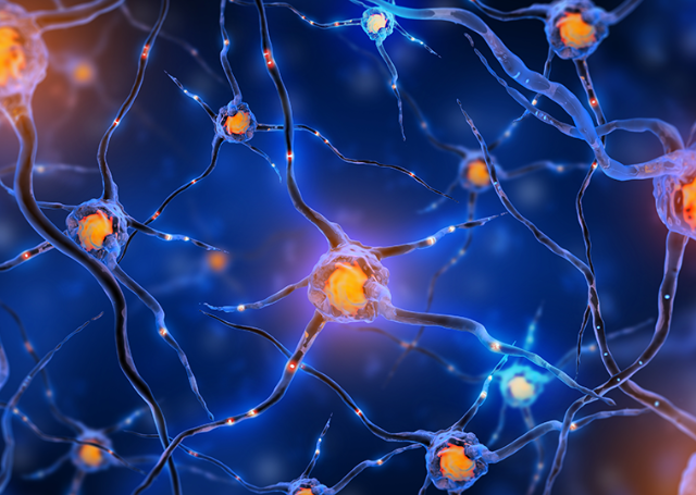 亚洲熟妇无码乱子AV电影