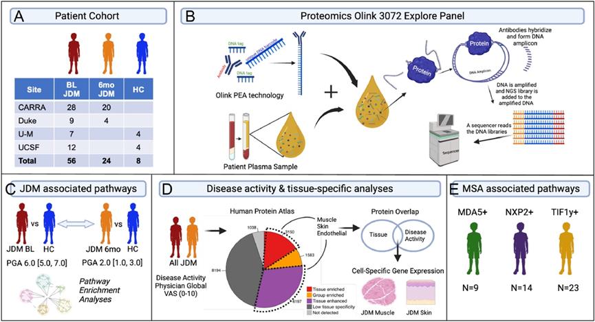 亚洲熟妇无码乱子AV电影