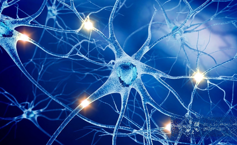 亚洲熟妇无码乱子AV电影