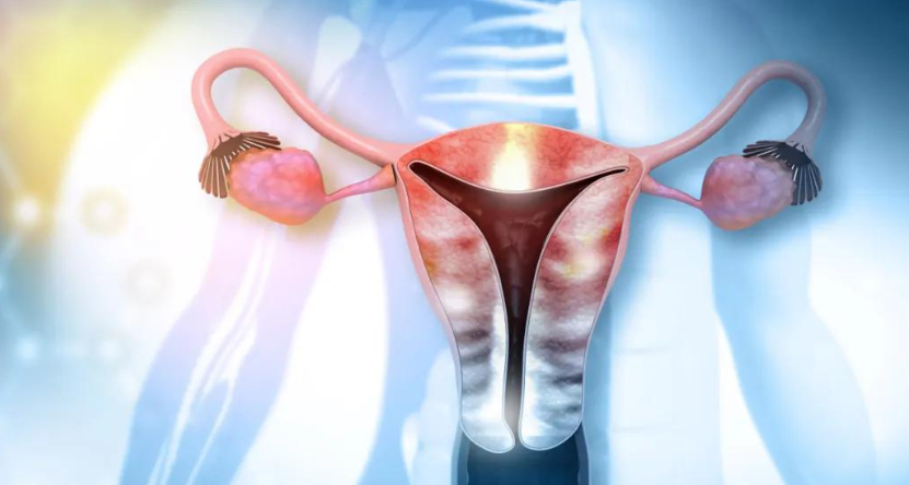 亚洲熟妇无码乱子AV电影