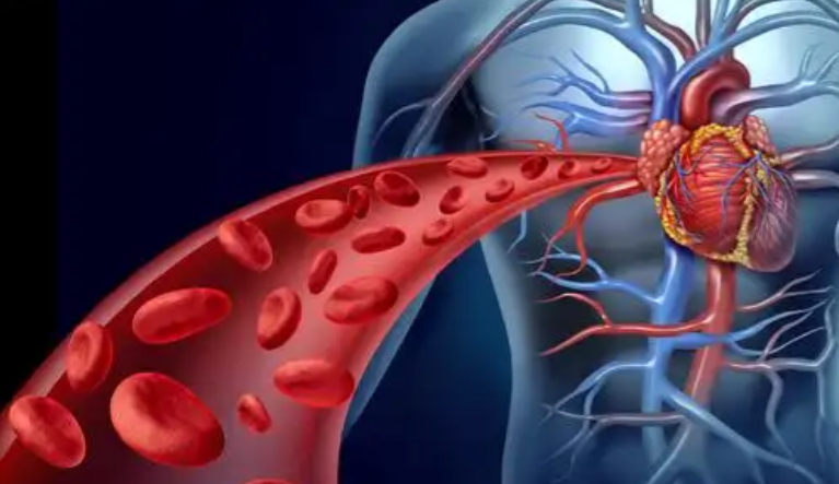 亚洲熟妇无码乱子AV电影