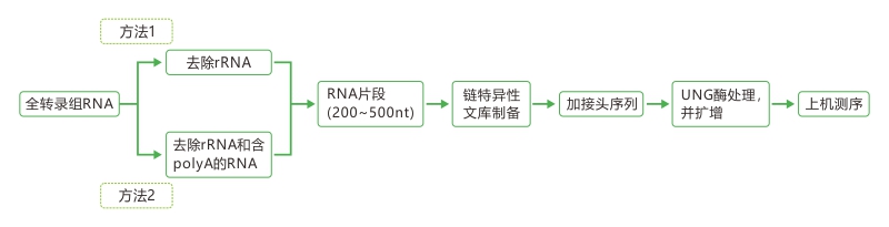 亚洲熟妇无码乱子AV电影