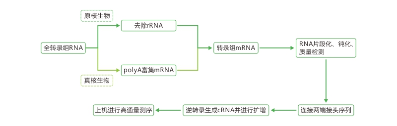 亚洲熟妇无码乱子AV电影